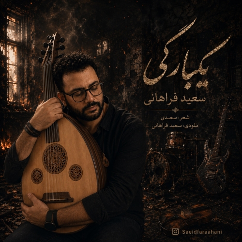 یکبارگی سعید فراهانی